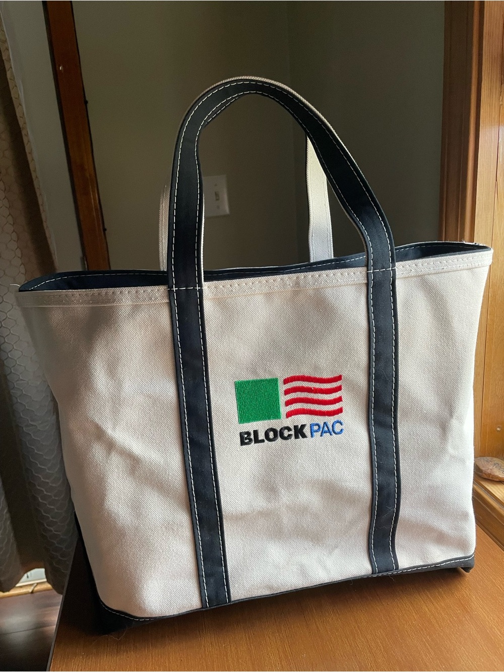LL Bean Canvas Boat and Tote Large 19" x 14" Zipped Bag Made in USA